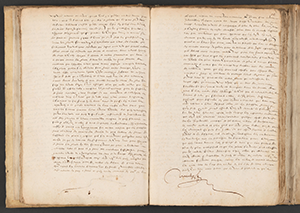 L’accident des glaces, registre consulaire 1608, manuscrit, AML, BB/144  - page 6