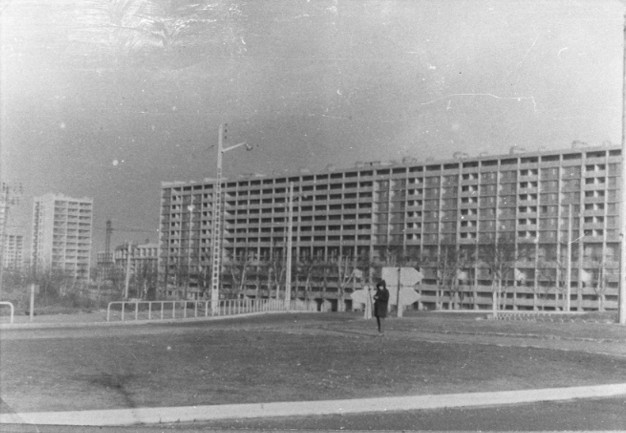 Immeubles 143 avenue Jean-Mermoz : tirage phot. NB par Lachassagne (1955, cote : 1PH/5151/1)