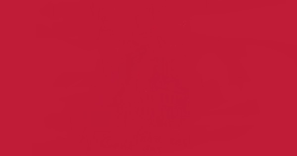 rectangle de couleur framboise