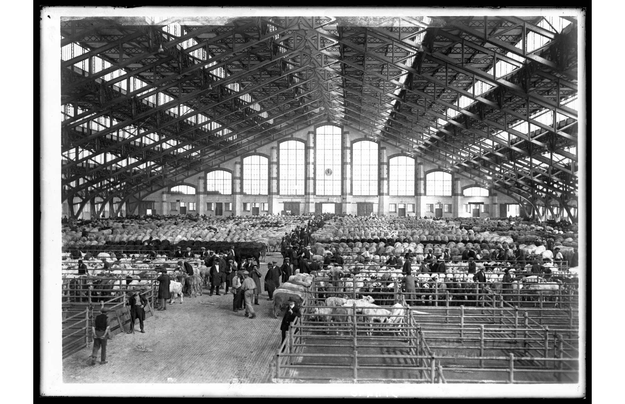 Abattoirs de la Mouche, vue intérieure de la halle aux bestiaux : tirage photo NB (1928, cote : 3PH/446)