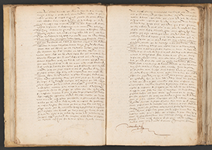 L’accident des glaces, registre consulaire 1608, manuscrit, AML, BB/144  - page 9