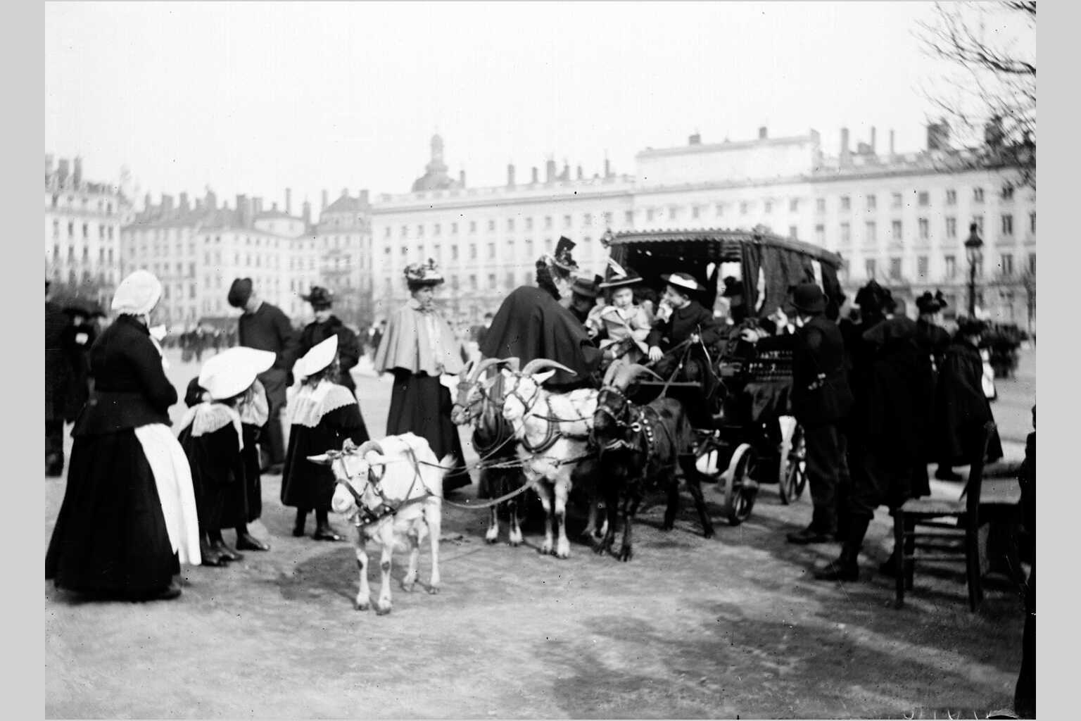 Voiture aux chèvres de la place Bellecour : photographie négative NB sur plaque de verre avec inscription "M. Molard" (vers 1900, cote : 10PH/156)