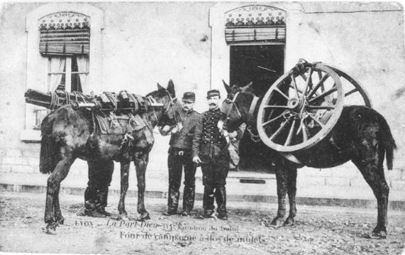 Les Casernes de la Part-Dieu - four de campagne à dos de mulet : tirage photographique NB d'une carte postale par Tabey (vers 1910, cote : 1PH/4335 repro. commerciale interdite)