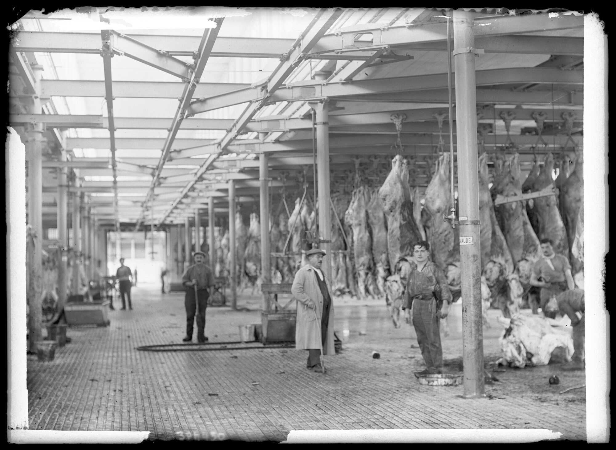 Abattoirs et marché aux bestiaux de la Mouche : photo négative NB sur plaque de verre (1928, cote : 3PH/450)