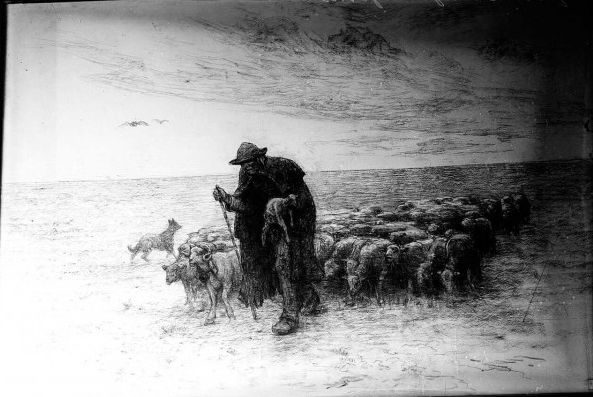 Berger et moutons - dessin non signé : photo négative NB sur plaque de verre (1900-1950, cote : 3PH/533)