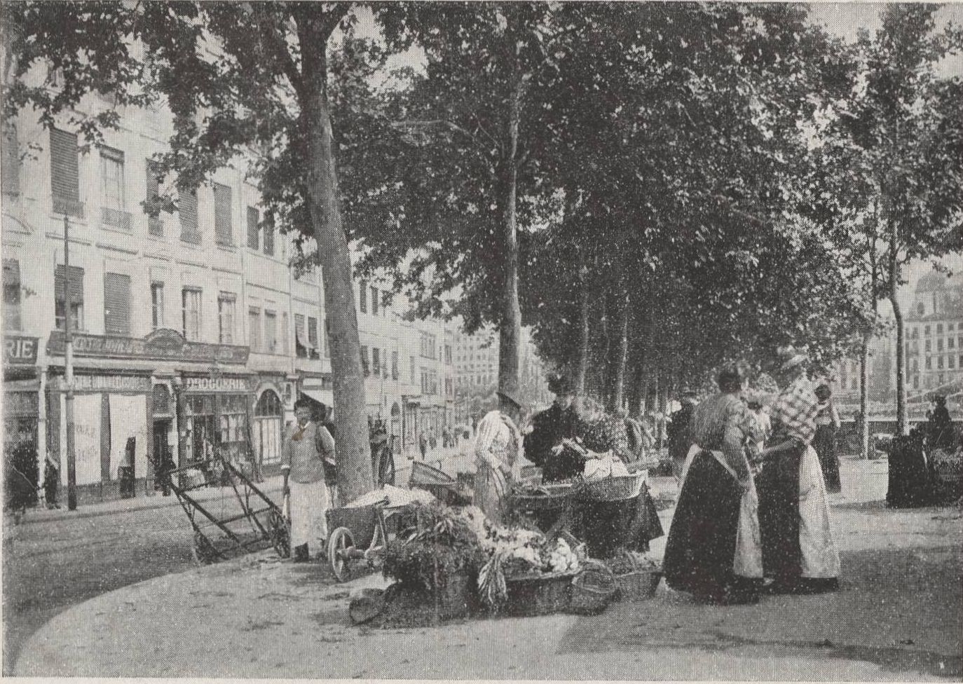 Un coin de marché sur le quai de Bondy : carte postale NB (vers 1910, cote : 4FI/4085)