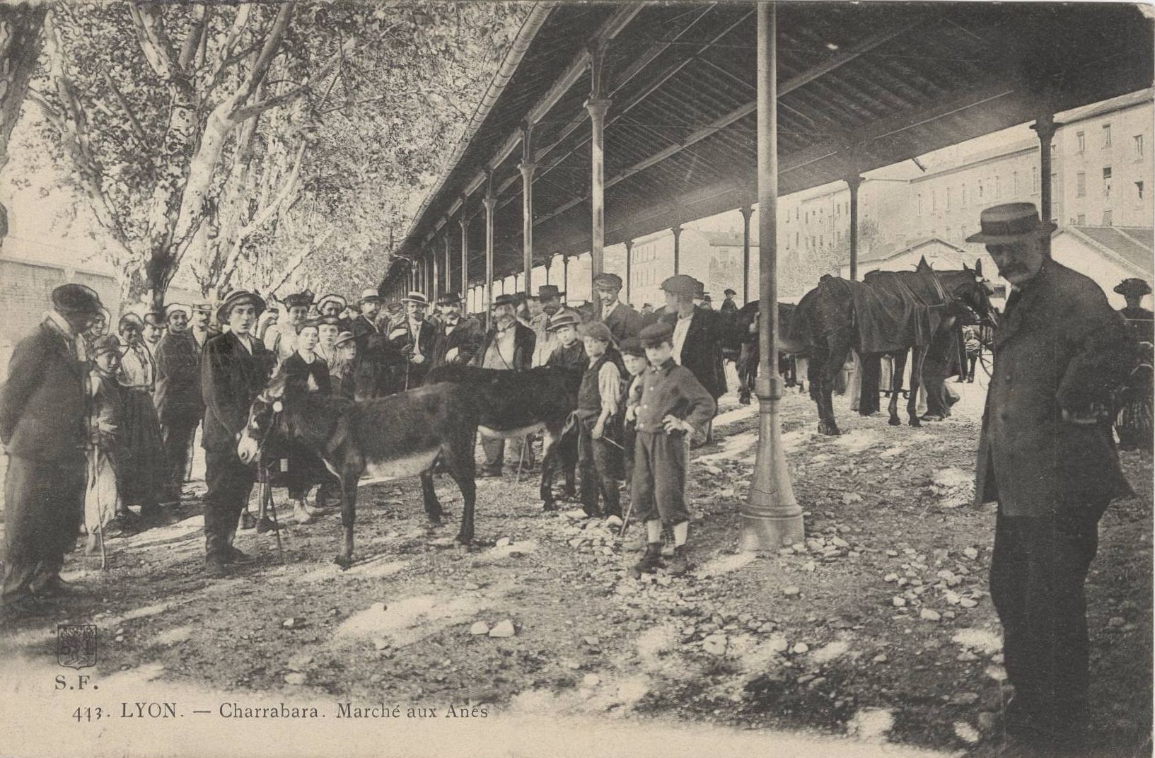 Lyon - Charrabara, Marché aux ânes : carte postale NB (vers 1906, cote : 4FI/4100)