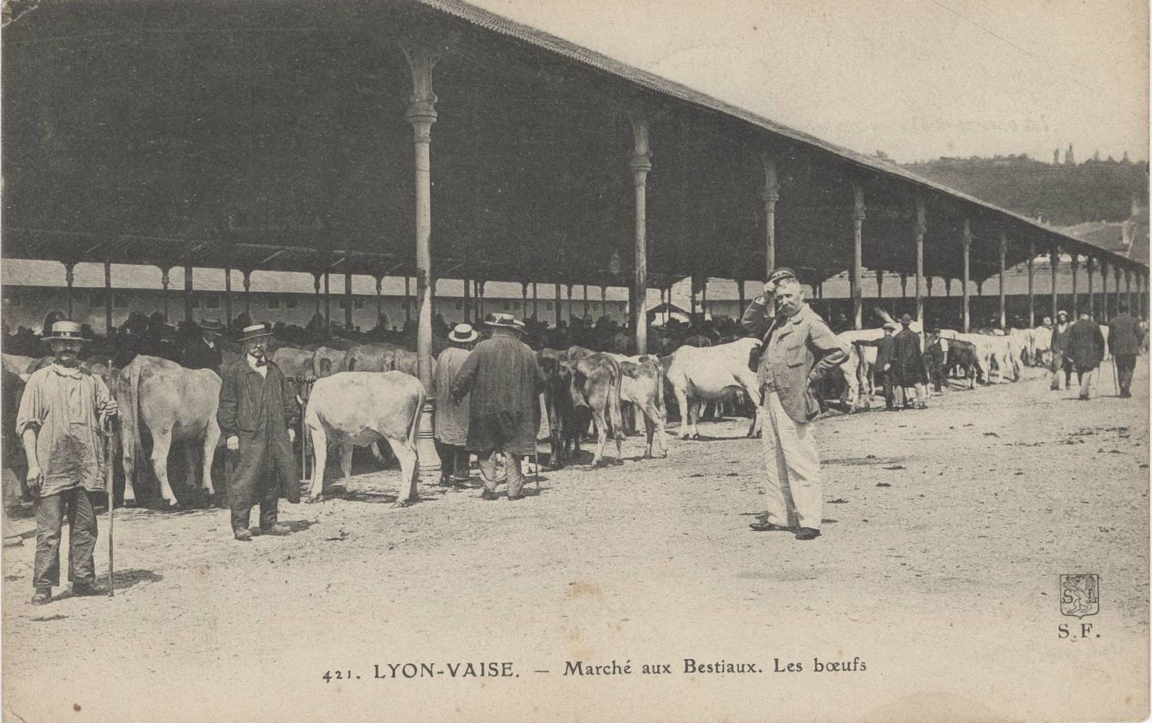 Lyon-Vaise - Marché aux bestiaux : carte postale NB (vers 1906, cote : 4FI/4104)