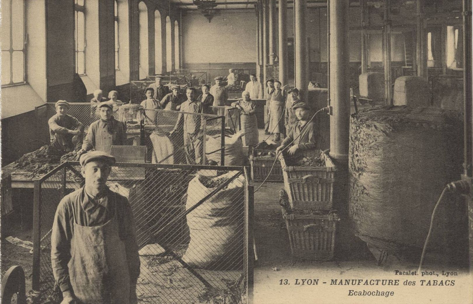 Manufacture des tabacs, écabochage : carte postale NB (vers 1930, cote : 4FI/4231)