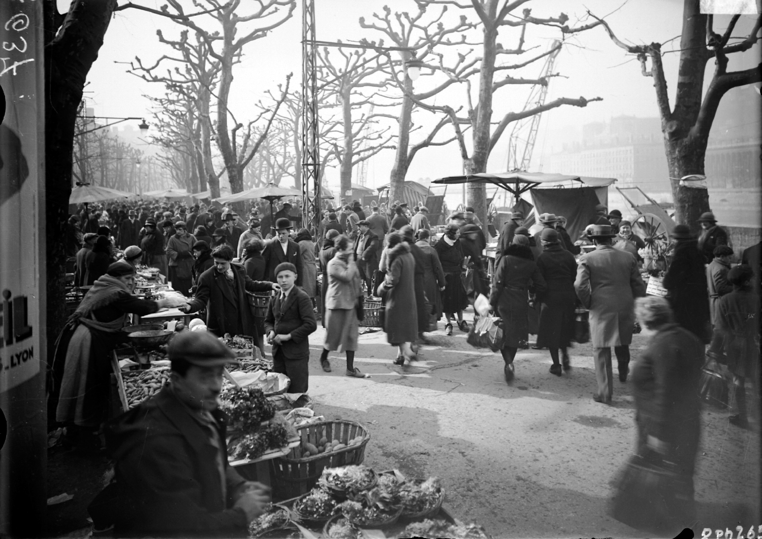 Marché quai Saint-Antoine : épreuve photographique NB sur verre par Emile Poix (vers 1920, cote : 8PH/265)