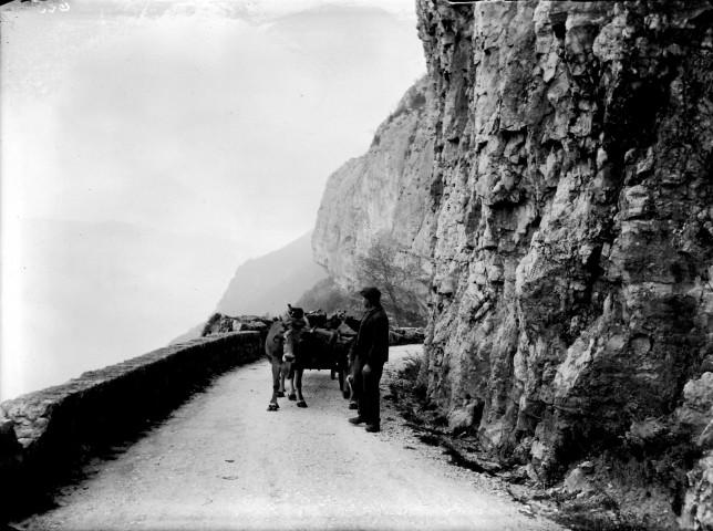 Paysage de montagne de l'Isère : paysan conduisant une cariole tirée par des boeufs sur une route escarpée de montagne : épreuve photographique NB sur verre par Emile Poix ou Edmond Pernet (vers 1920, cote : 8PH/413)