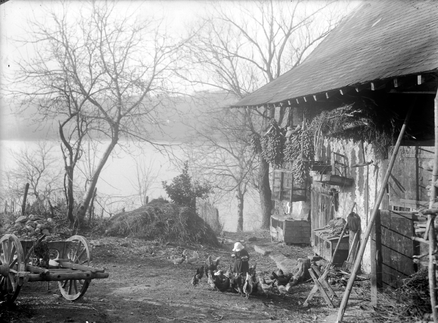 Ferme au bord du lac d'Aiguebelette, au 1er plan enfant nourrissant des volailles : épreuve photographique NB sur verre par Emile Poix ou Edmond Pernet (vers 1930, cote : 8PH/488)