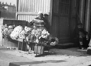 Marchande à fleurs à l'entrée d'un pont : photo négative NB sur plaque de verre au gélatino-bromure d'argent (vers 1900, cote : 10PH/61)