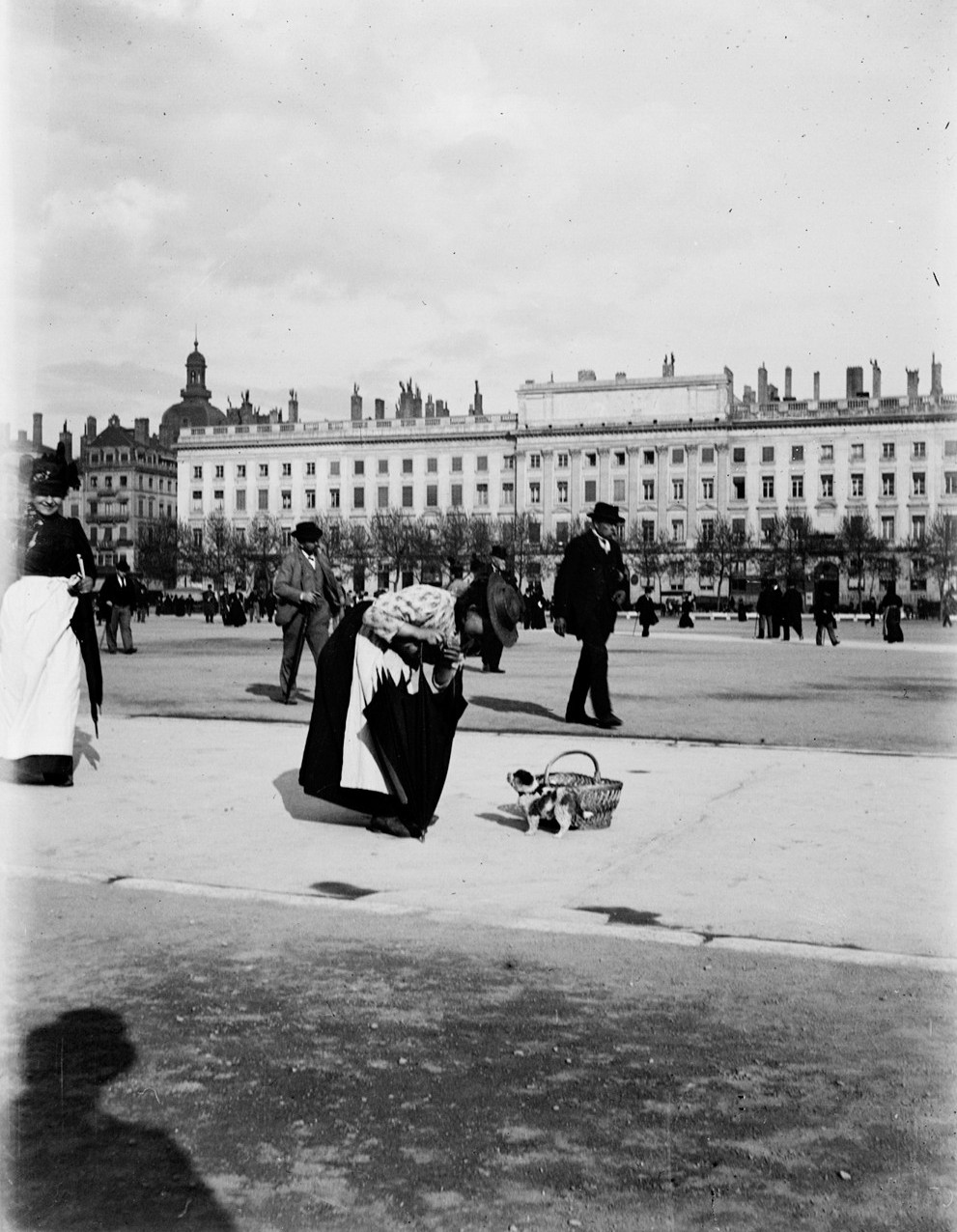 Femme au petit chien place Bellecour : photo. négative sur plaque de verre, crédit la Vie française (vers 1900, cote 10PH/187)