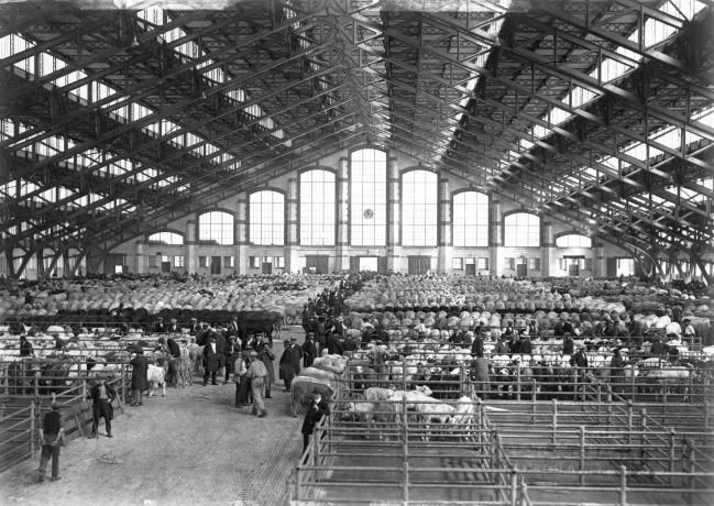 Abattoirs et marché aux bestiaux de la Mouche, Grand Hall Tony Garnier : photo. NB (1928, cote 3PH/446)