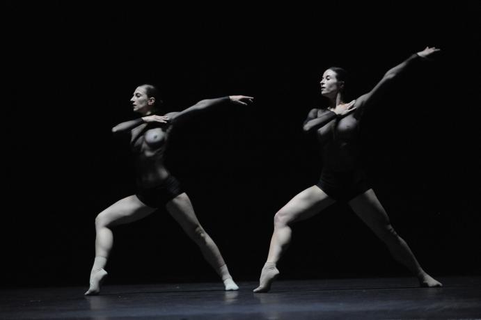 Biennale de danse 2008 : photo. couleur M. Chaulet (2008, non coté)
