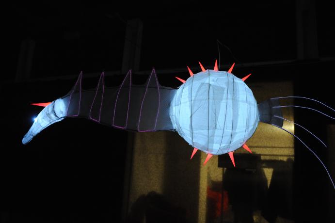 Fête des Lumières 2008, préparatifs du 27 novembre : photo. couleur M. Chaulet (2008, non coté)