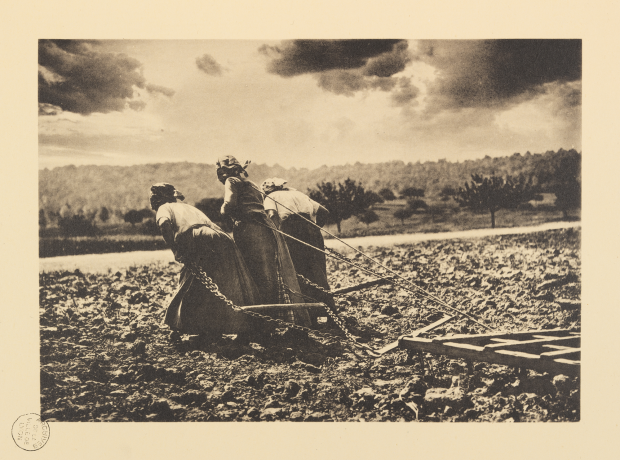 "Nos courageuses françaises, Oise, 1917" La guerre 1914-1918, 150 planches artistiques de la collection personnelle du Commandant Tournassoud, ex-directeur du service photographique et cinématographiques de guerre, pl 123 -  1c/501354