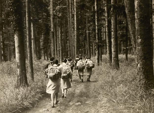 Fédération française des Éclaireuses, marche en Alsace : tirage papier NB (1960, cote 331II/6)