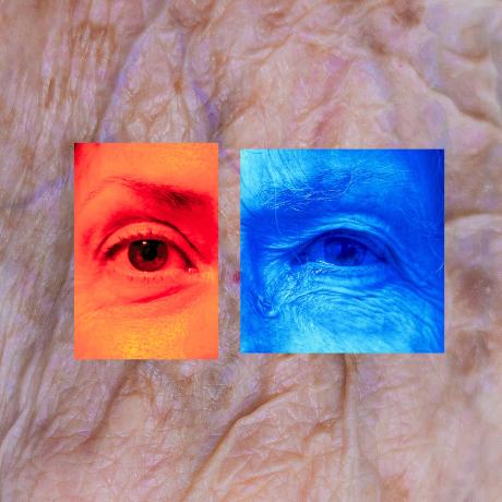 Faustine Gutierrez, Mutation génétique, photo numérique